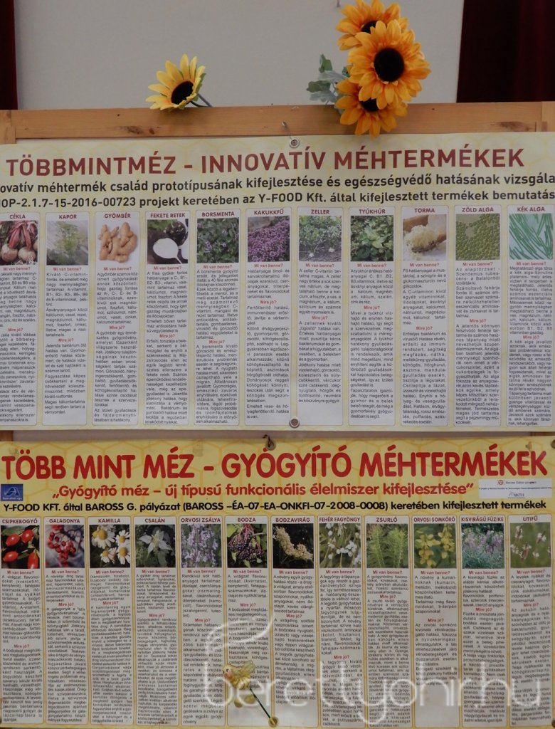 VIII. Bihari Mézes Nap 098